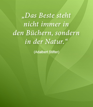 Spruch